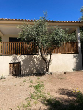 Mini villa 4 personnes - Figari
